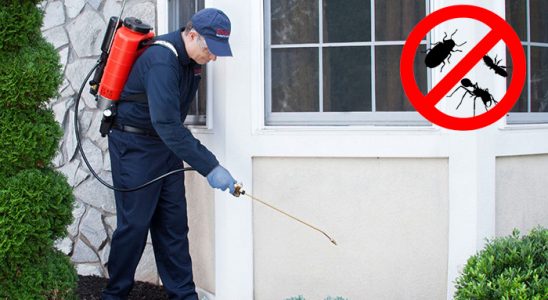 Yusufeli Hamam Böceği İlaçlama böcek ilaçlama ve haşere kontrolü — ilaclama-tr.com